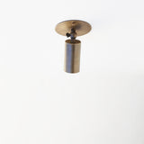 One-Light Small Adjustable Brass Spotlight Flush Mount