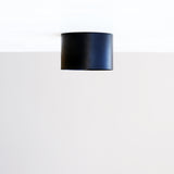 Opal Globe Drum Flush Mount Ceiling Light