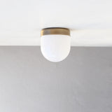 Opal Globe Flush Mount Ceiling Light