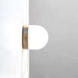 Opal Globe Flush Mount Ceiling Light