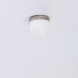 Opal Globe Flush Mount Ceiling Light