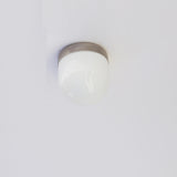 Opal Globe Flush Mount Ceiling Light