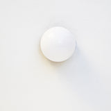 Opal Globe Flush Mount Ceiling Light