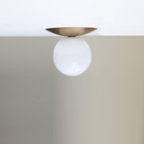 Opal Globe Flush Mount Ceiling Light