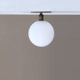 Opal Globe Flush Mount Ceiling Light