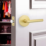 Zinc Alloy Heavy Door Handle Interior Door Levers for Bedroom