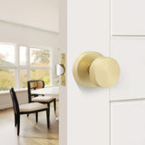 Heavy Duty Zinc Alloy Indoor Rounded Bathroom Door knobs