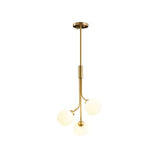 clear globe pendant with brass finish