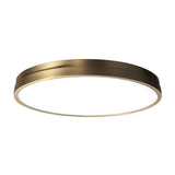 Minimalist Circular Ceiling Lamp