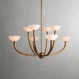 saguaro chandelier