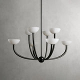 saguaro chandelier