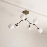 Six-Light Branching Brass Chandelier with Opal Glass Shades