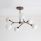 Six-Light Brass Branch Chandelier