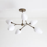 Six-Light Brass Branch Chandelier
