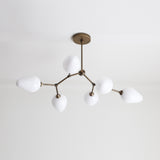 Six-Light Brass Branch Chandelier with Opal Teardrop Shades