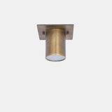 Square Backplate Brass Ceiling Spotlight
