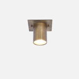 Square Backplate Brass Ceiling Spotlight