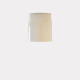 Steel Cylinder Ceiling Downlight