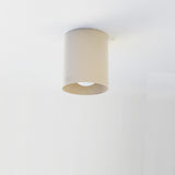 Steel Cylinder Ceiling Downlight