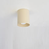 Steel Cylinder Ceiling Downlight