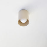 Steel Cylinder Ceiling Downlight