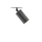Swivel Cylinder Ceiling Spotlight