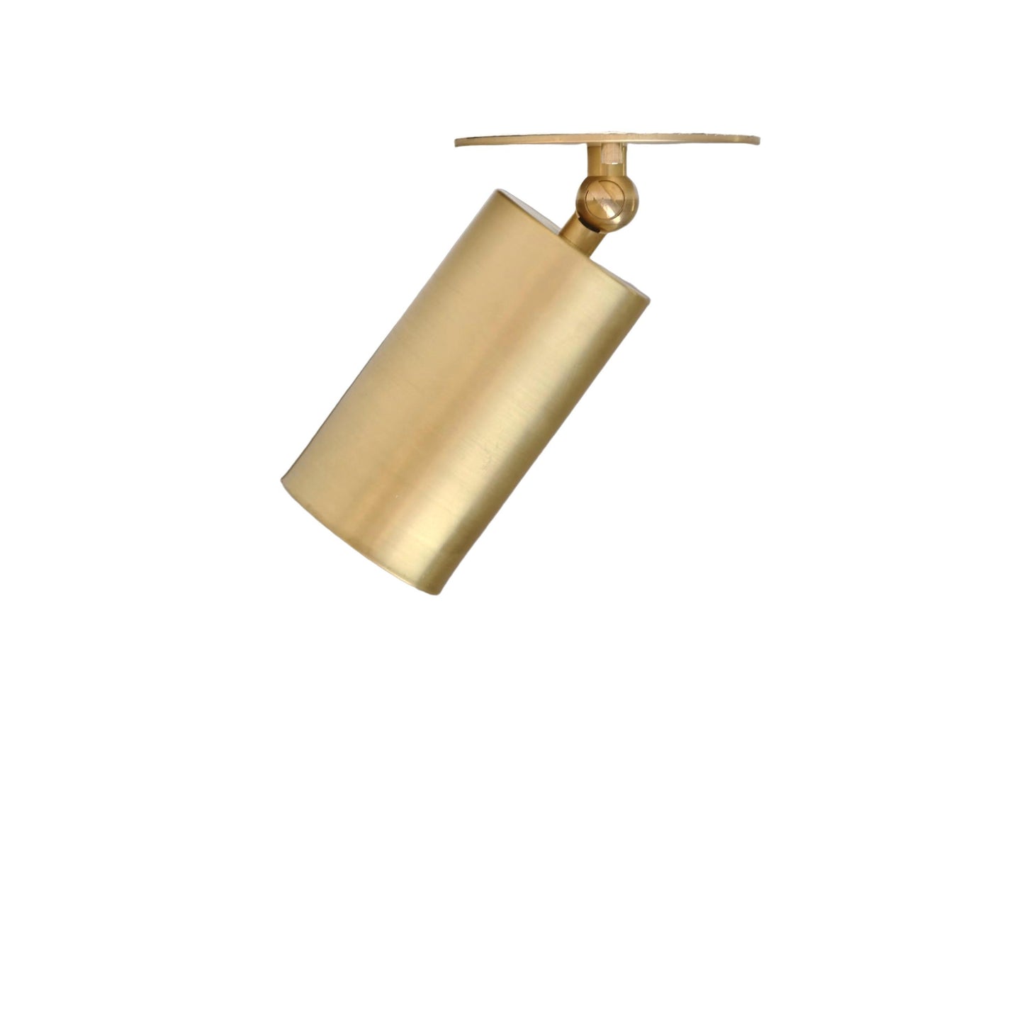 Swivel Cylinder Ceiling Spotlight