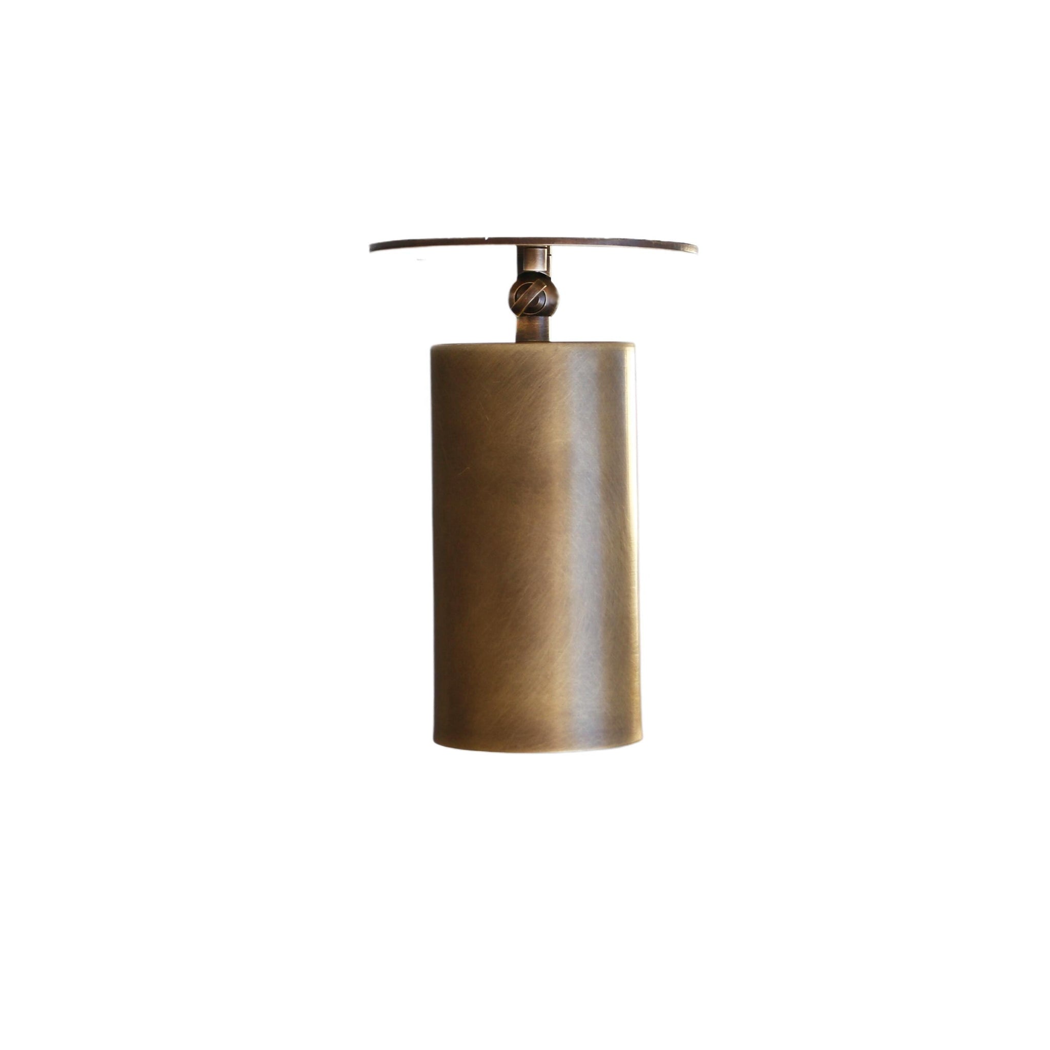 Swivel Cylinder Ceiling Spotlight