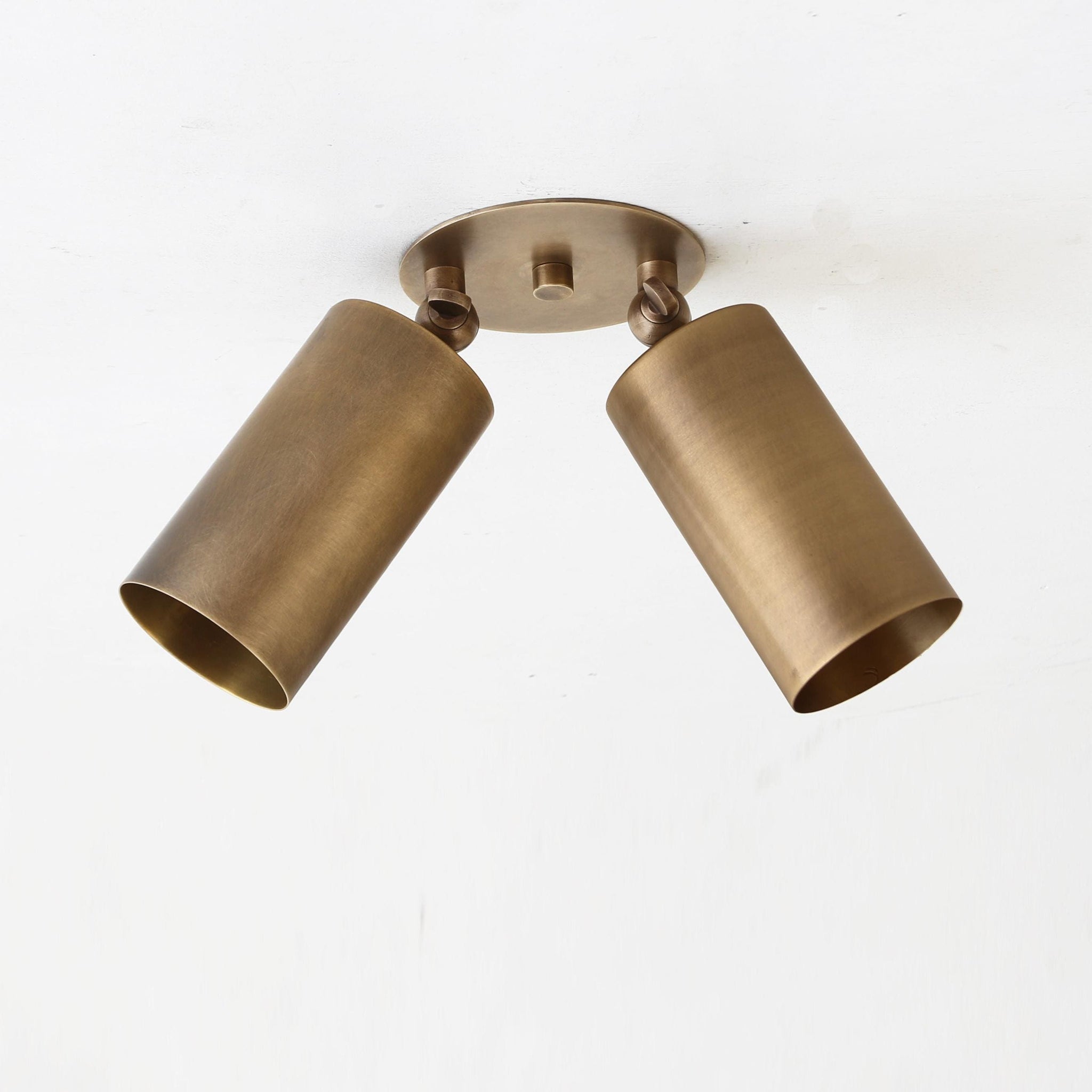 Swivel Cylinder Ceiling Spotlight