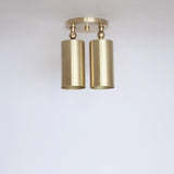 Swivel Cylinder Ceiling Spotlight