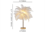 colorful feather lighting