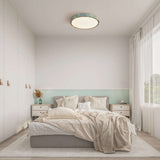 blue brass ceiling light