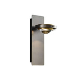 dark sky outdoor wall lamp