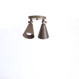 Two-Light Adjustable Brass Cone Spotlight Ceiling Fixture
