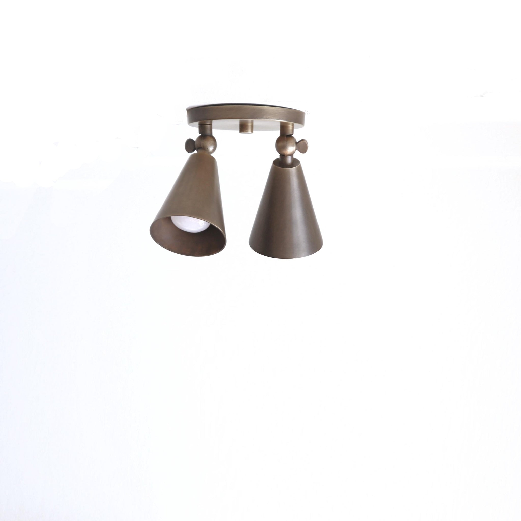 Two-Light Adjustable Brass Cone Spotlight Ceiling Fixture