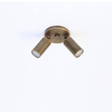 Two-Light Adjustable Brass Spotlight Ceiling Fixture, 2-Inch Shades