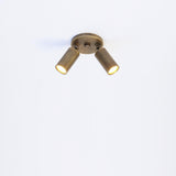 Two-Light Adjustable Brass Spotlight Ceiling Fixture, 2-Inch Shades