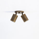 Two-Light Adjustable Brass Spotlight Ceiling Fixture