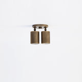 Two-Light Adjustable Brass Spotlight Ceiling Fixture