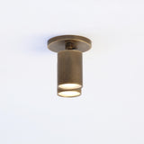 Two-Light Adjustable Brass Spotlight Ceiling Fixture
