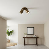 Two-Light Adjustable Brass Spotlight Ceiling Fixture