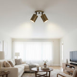 Two-Light Adjustable Brass Spotlight Ceiling Fixture