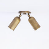 Two-Light Brass Cylinder Directional Ceiling Light