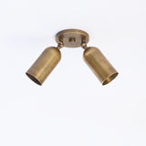 Two-Light Brass Cylinder Directional Ceiling Light