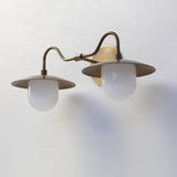 Two-Light Brass Gooseneck Wall Sconce with Glass Shades