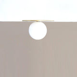 Wide Brass Disc Flush Mount with Opal Globe